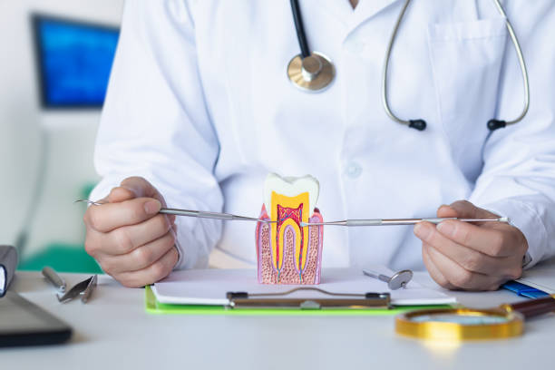 Best Broken or Cracked Tooth Emergency Dentist in Laurel Hill, NC